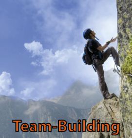 Organisation Team building